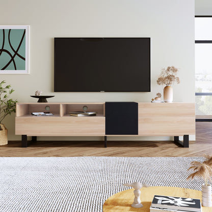 Modern TV Stand with Double Storage Space