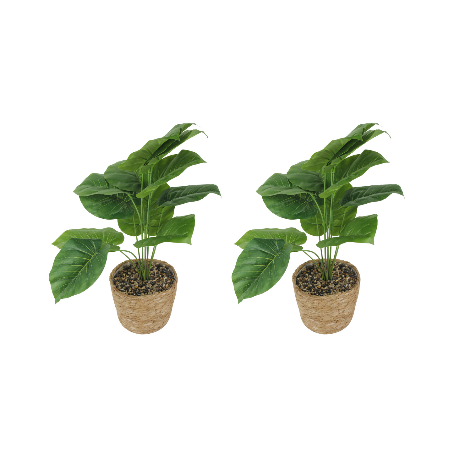 GIA Design Group Artificial Plants in Woven Basket, Elephant Ear/Fatsia Japonica