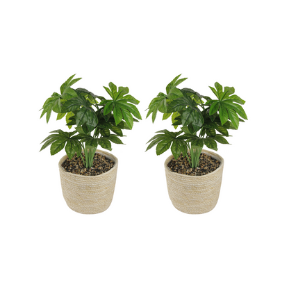 GIA Design Group Artificial Plants in Woven Basket, Elephant Ear/Fatsia Japonica
