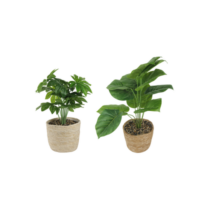 GIA Design Group Artificial Plants in Woven Basket, Elephant Ear/Fatsia Japonica