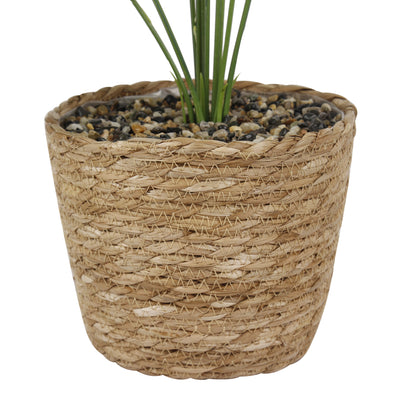 GIA Artificial Plants with Wicker Basket-Khaki