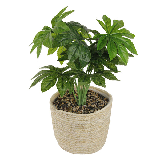 GIA Artificial Plants with Wicker Basket-Beige