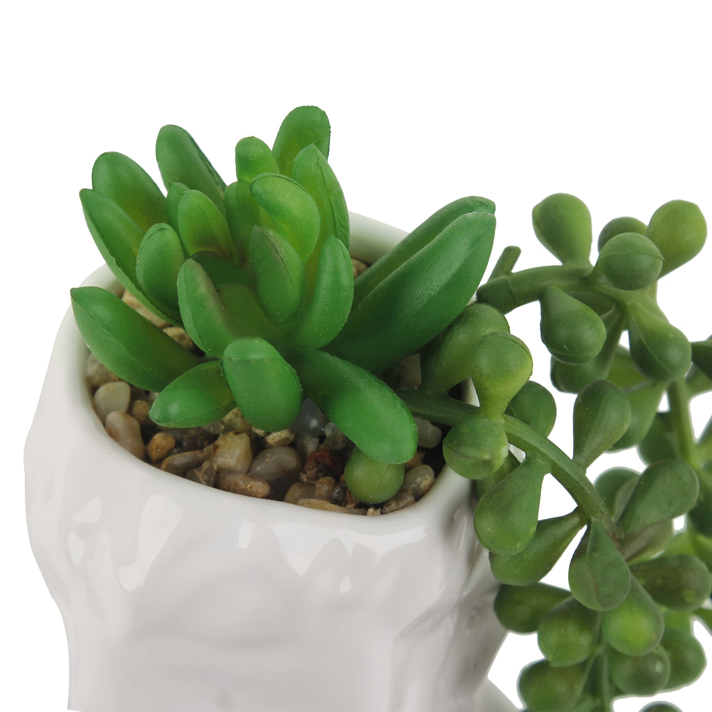 GIA Head Planter Succulent, David with Green Hair, Set of 2