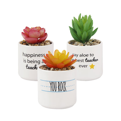 GIA Artificial Teacher Appreciation Agave Succulents with Ceramic Pots, Set of 3