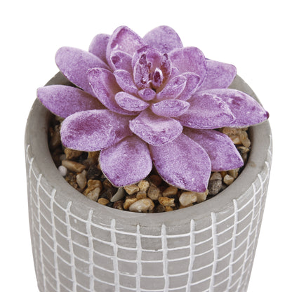 GIA Artificial Fake Plant in Gray Cement Pot-Purple, Set of 2